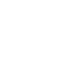 zv-white